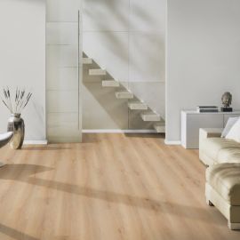 Oak Rotterdam